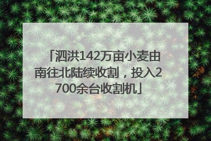 泗洪142万亩小麦由南往北陆续收割，投入2700余台收割机