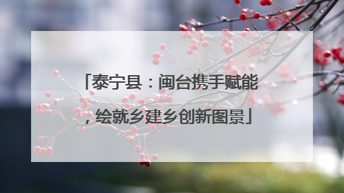 泰宁县：闽台携手赋能，绘就乡建乡创新图景