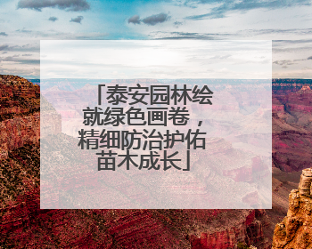 泰安园林绘就绿色画卷，精细防治护佑苗木成长