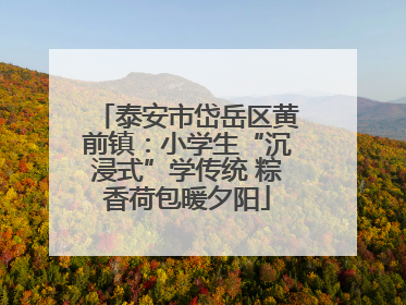 泰安市岱岳区黄前镇：小学生“沉浸式”学传统 粽香荷包暖夕阳