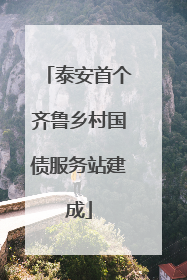 泰安首个齐鲁乡村国债服务站建成