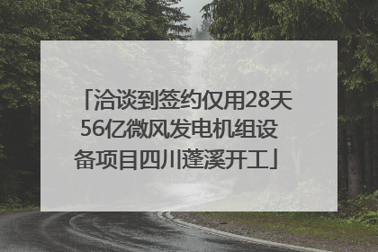 洽谈到签约仅用28天 56亿微风发电机组设备项目四川蓬溪开工