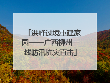 洪峰过境重建家园——广西柳州一线防汛抗灾直击