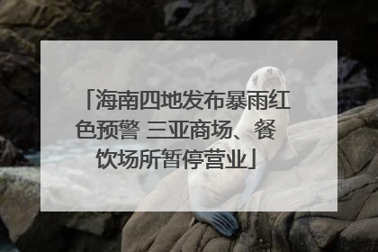 海南四地发布暴雨红色预警 三亚商场、餐饮场所暂停营业