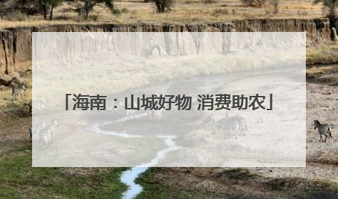 海南：山城好物 消费助农