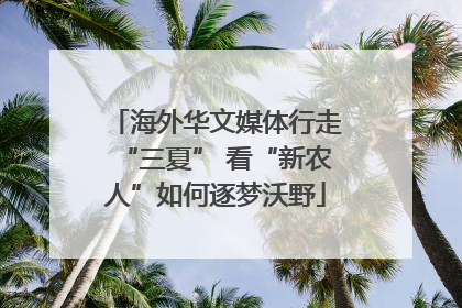 海外华文媒体行走“三夏” 看“新农人”如何逐梦沃野
