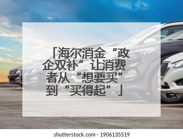 海尔消金“政企双补”让消费者从“想要买”到“买得起”