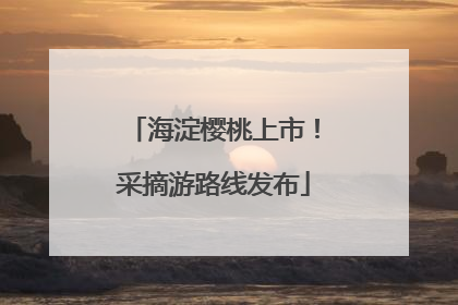海淀樱桃上市！采摘游路线发布