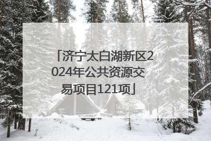 济宁太白湖新区2024年公共资源交易项目121项