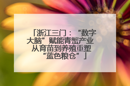 浙江三门：“数字大脑”赋能青蟹产业 从育苗到养殖重塑“蓝色粮仓”