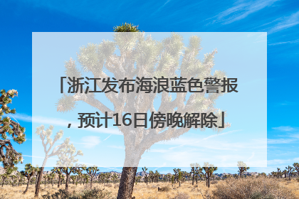 浙江发布海浪蓝色警报，预计16日傍晚解除