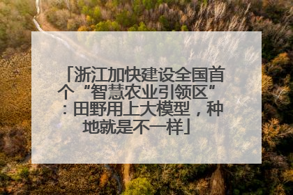 浙江加快建设全国首个“智慧农业引领区”：田野用上大模型，种地就是不一样