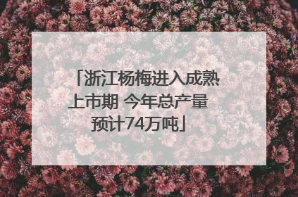 浙江杨梅进入成熟上市期 今年总产量预计74万吨