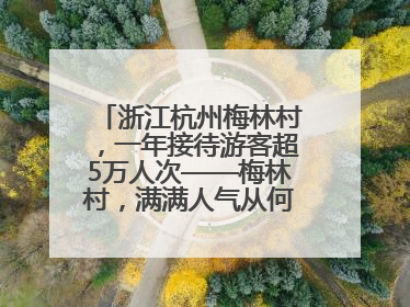 浙江杭州梅林村，一年接待游客超5万人次——梅林村，满满人气从何来（经济新方位·农村消费观察）