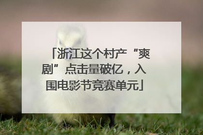 浙江这个村产“爽剧”点击量破亿，入围电影节竞赛单元