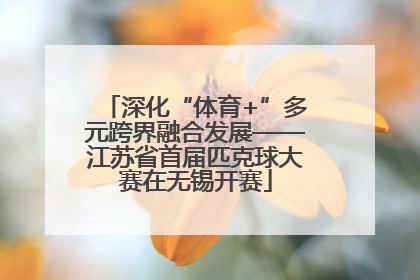 深化“体育+”多元跨界融合发展——江苏省首届匹克球大赛在无锡开赛