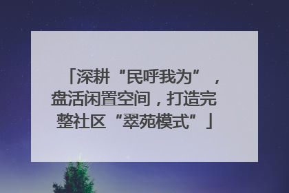 深耕“民呼我为”，盘活闲置空间，打造完整社区“翠苑模式”