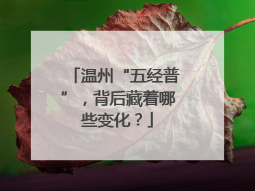 温州“五经普”，背后藏着哪些变化？