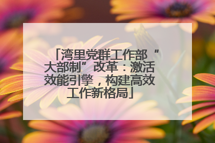 湾里党群工作部“大部制”改革：激活效能引擎，构建高效工作新格局