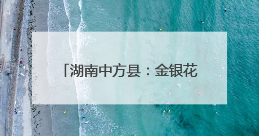 湖南中方县：金银花开“金银”来 特色产业赋能乡村振兴