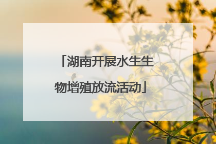 湖南开展水生生物增殖放流活动