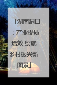 湖南洞口：产业提质增效 绘就乡村振兴新图景