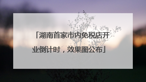 湖南首家市内免税店开业倒计时，效果图公布