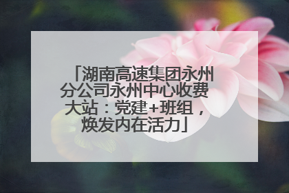 湖南高速集团永州分公司永州中心收费大站：党建+班组，焕发内在活力