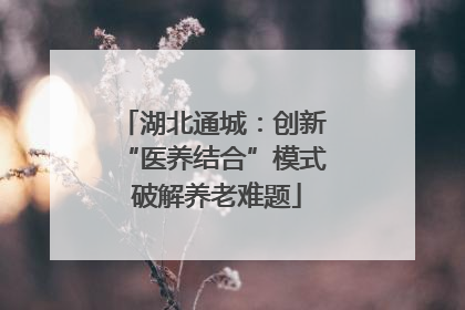 湖北通城：创新 “医养结合”模式 破解养老难题
