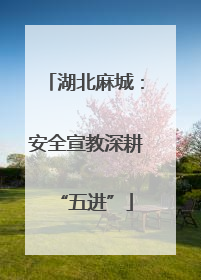 湖北麻城：安全宣教深耕“五进”