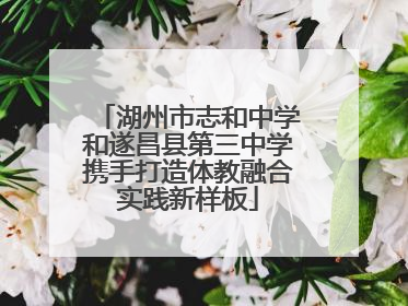 湖州市志和中学和遂昌县第三中学携手打造体教融合实践新样板
