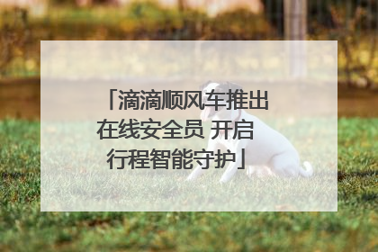 滴滴顺风车推出在线安全员 开启行程智能守护