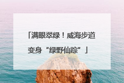 满眼翠绿！威海步道变身“绿野仙踪”