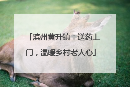 滨州黄升镇：送药上门，温暖乡村老人心