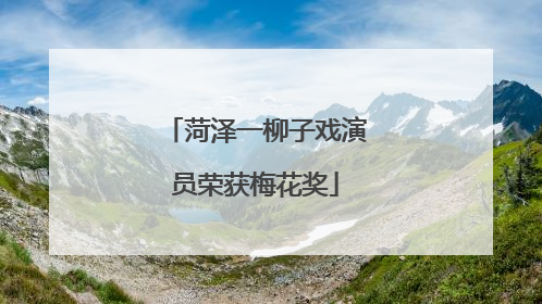 菏泽一柳子戏演员荣获梅花奖