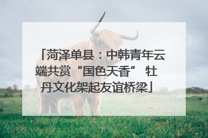 菏泽单县：中韩青年云端共赏“国色天香” 牡丹文化架起友谊桥梁