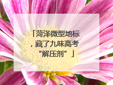 菏泽微型地标，藏了九味高考“解压剂”