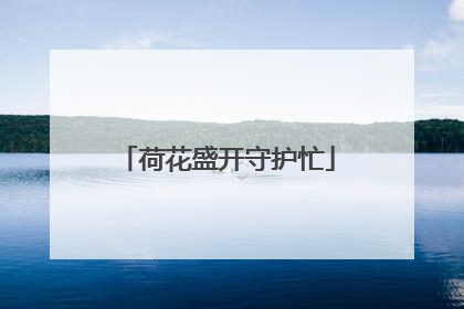 荷花盛开守护忙
