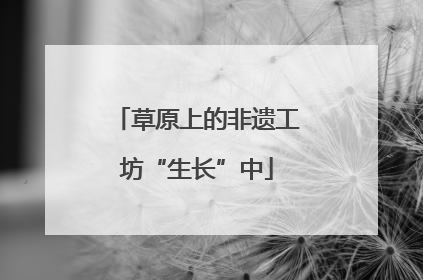 草原上的非遗工坊“生长”中