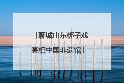 聊城山东梆子戏亮相中国非遗馆