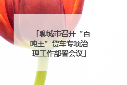 聊城市召开“百吨王”货车专项治理工作部署会议