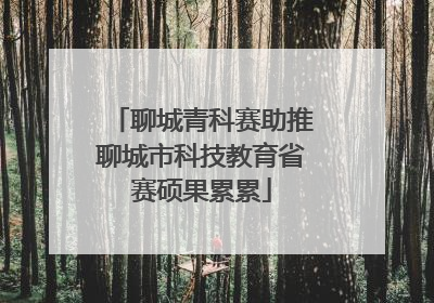 聊城青科赛助推聊城市科技教育省赛硕果累累