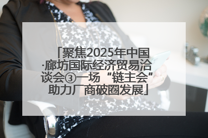 聚焦2025年中国·廊坊国际经济贸易洽谈会③一场“链主会” 助力厂商破圈发展