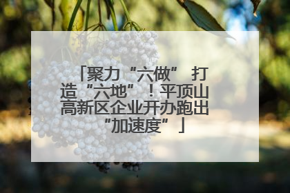 聚力“六做” 打造“六地”！平顶山高新区企业开办跑出“加速度”