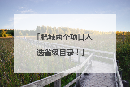 肥城两个项目入选省级目录！