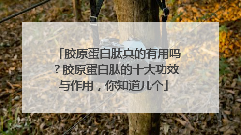 胶原蛋白肽真的有用吗？胶原蛋白肽的十大功效与作用，你知道几个