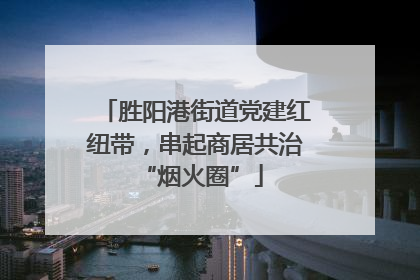 胜阳港街道党建红纽带，串起商居共治 “烟火圈”