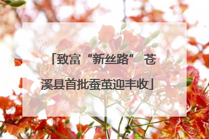 致富“新丝路” 苍溪县首批蚕茧迎丰收