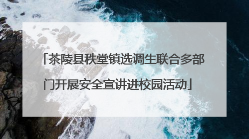 茶陵县秩堂镇选调生联合多部门开展安全宣讲进校园活动