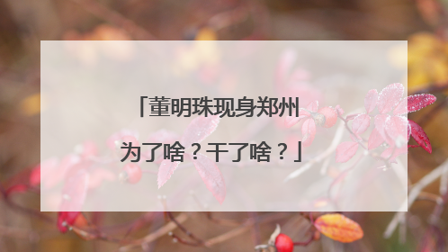 董明珠现身郑州 为了啥？干了啥？